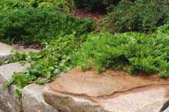 IMG-20201217-WA0000