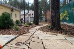 IMG-20210618-WA0004