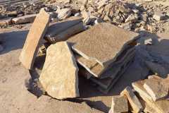 IMG-20210823-WA0018