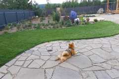 IMG-20241018-WA0001