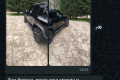 photo_5276525533011315758_y