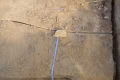 IMG-20220827-WA0034