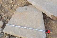 IMG-20220827-WA0037