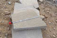 IMG-20220827-WA0038