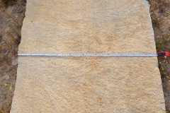 IMG-20220827-WA0040